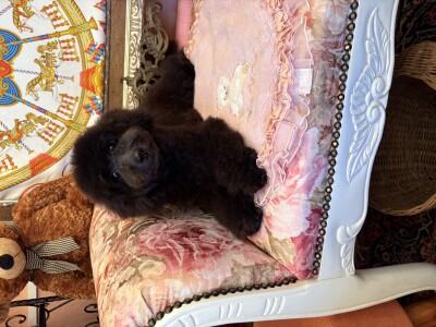 IMG_9630